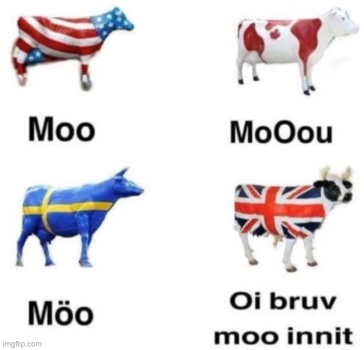 maybe repost idk | made w/ Imgflip meme maker