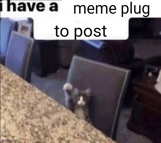 i have a blank | meme plug; to post | image tagged in i have a blank | made w/ Imgflip meme maker