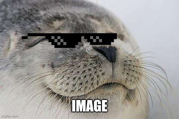 Seal | IMAGE | image tagged in memes,satisfied seal | made w/ Imgflip meme maker