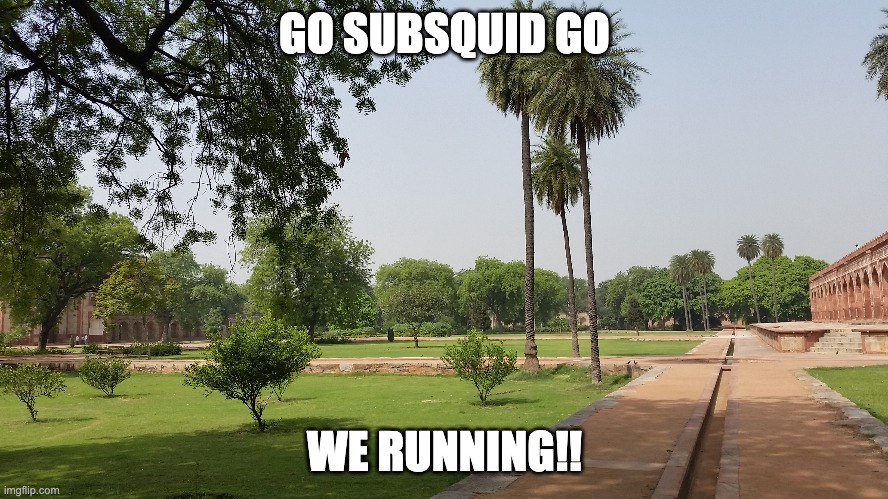 Subsuqid | GO SUBSQUID GO; WE RUNNING!! | image tagged in test | made w/ Imgflip meme maker