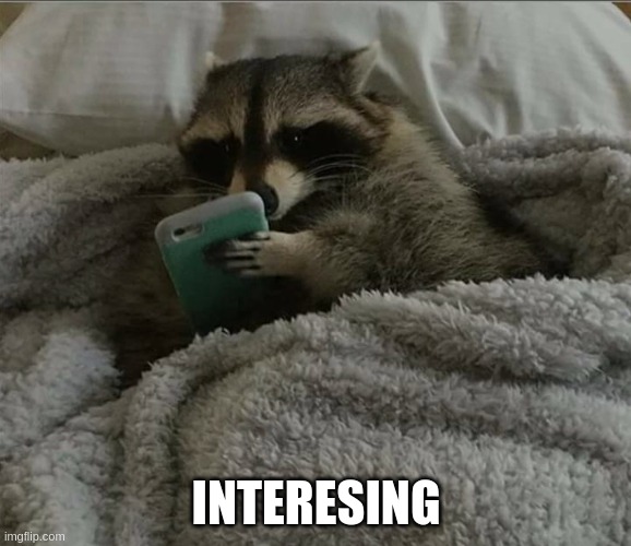 Raccoon in bed | INTERESING | image tagged in raccoon in bed | made w/ Imgflip meme maker