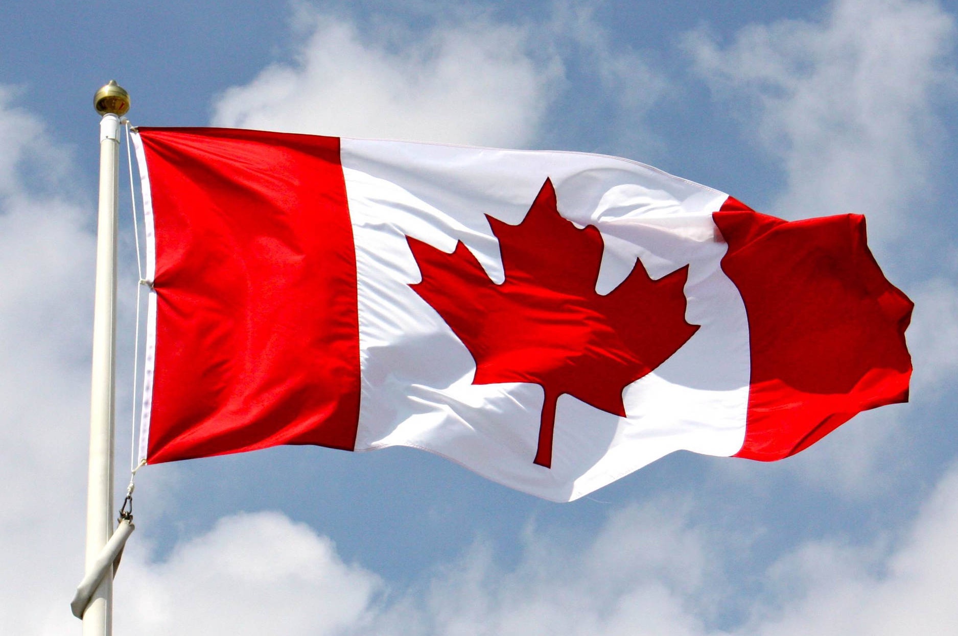 High Quality Canadian Flag Blank Meme Template