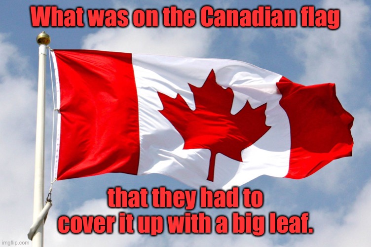 Canadian flag cover up | What was on the Canadian flag; that they had to cover it up with a big leaf. | image tagged in canadian flag,what was on,their flag,they put a leaf on it,eyeroll | made w/ Imgflip meme maker