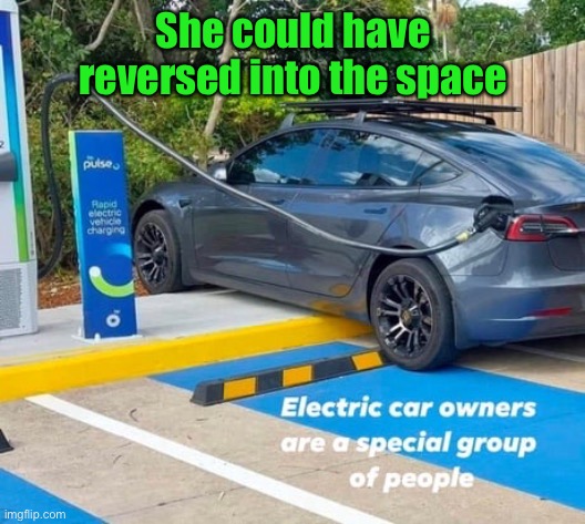 Special group | She could have reversed into the space | image tagged in electric car owner,special group,could reverse in | made w/ Imgflip meme maker