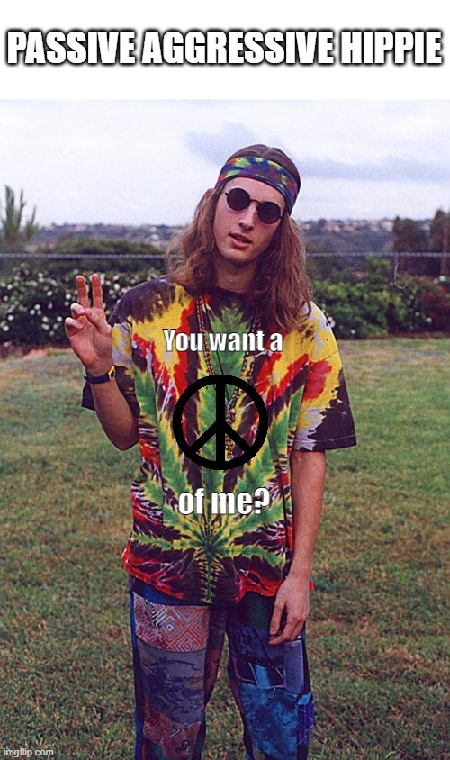 Hippie | PASSIVE AGGRESSIVE HIPPIE; You want a; of me? | image tagged in hippie | made w/ Imgflip meme maker