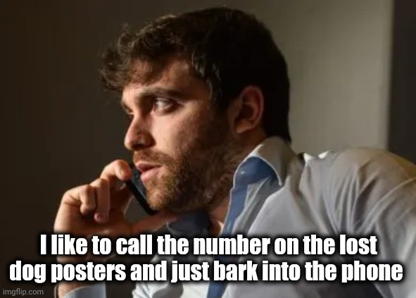 Fabrizio romano | I like to call the number on the lost dog posters and just bark into the phone | image tagged in fabrizio romano | made w/ Imgflip meme maker