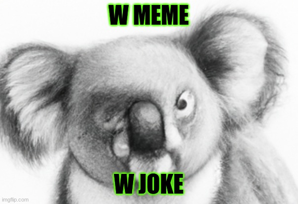 W MEME W JOKE | made w/ Imgflip meme maker