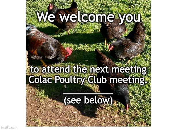 Meeting invite | We welcome you; to attend the next meeting
Colac Poultry Club meeting.
__________
(see below) | image tagged in meme | made w/ Imgflip meme maker