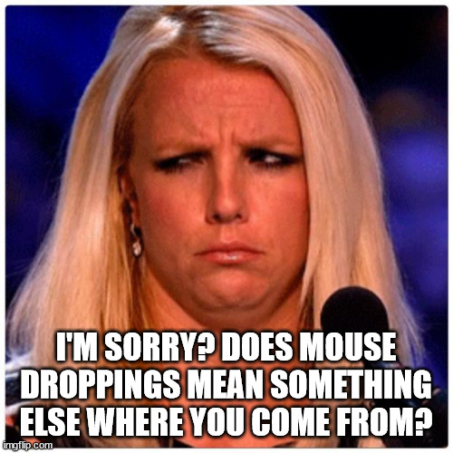 Confused Britney | I'M SORRY? DOES MOUSE DROPPINGS MEAN SOMETHING ELSE WHERE YOU COME FROM? | image tagged in confused britney | made w/ Imgflip meme maker