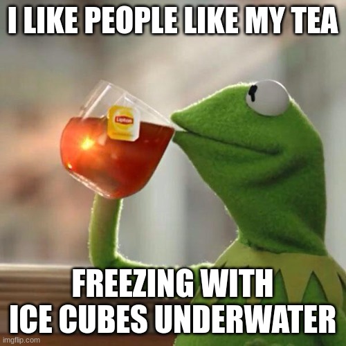 Kermit Lipton | I LIKE PEOPLE LIKE MY TEA FREEZING WITH ICE CUBES UNDERWATER | image tagged in kermit lipton | made w/ Imgflip meme maker