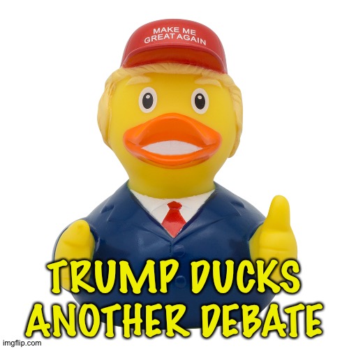 What a ducking coward | TRUMP DUCKS ANOTHER DEBATE | image tagged in trump duck | made w/ Imgflip meme maker