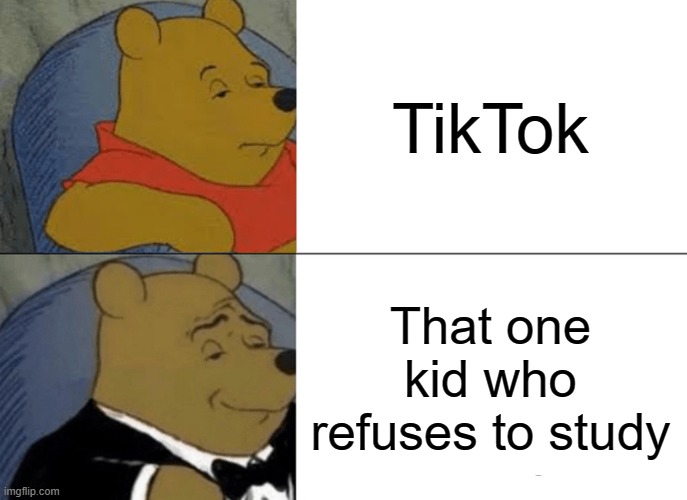 AI imgflip is an tiktok hater? | TikTok; That one kid who refuses to study | image tagged in memes,tuxedo winnie the pooh,tiktok,ai meme | made w/ Imgflip meme maker