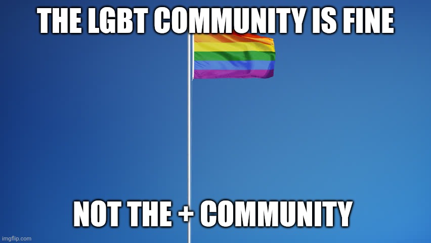 Why the fuck does asexual meaning you don't like sex have to be a sexual | THE LGBT COMMUNITY IS FINE; NOT THE + COMMUNITY | image tagged in lgbtq flag | made w/ Imgflip meme maker