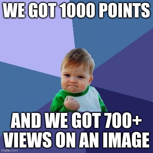 LETS GO GUYS WE DID IT | WE GOT 1000 POINTS; AND WE GOT 700+ VIEWS ON AN IMAGE | image tagged in memes,success kid | made w/ Imgflip meme maker