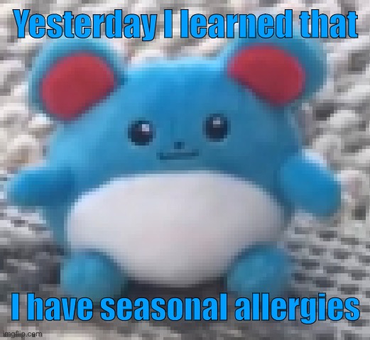 Marill 6 | Yesterday I learned that; I have seasonal allergies | image tagged in marill 6 | made w/ Imgflip meme maker