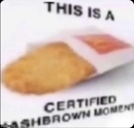 High Quality This is a hashbrown moment Blank Meme Template