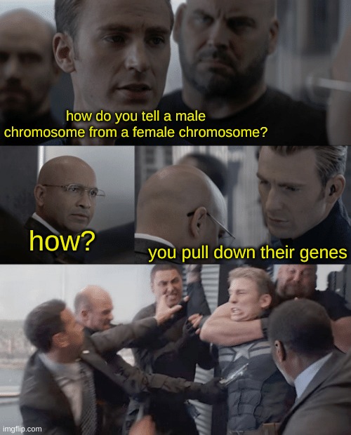 Captain america elevator | how do you tell a male chromosome from a female chromosome? you pull down their genes; how? | image tagged in captain america elevator,memes,dad jokes | made w/ Imgflip meme maker