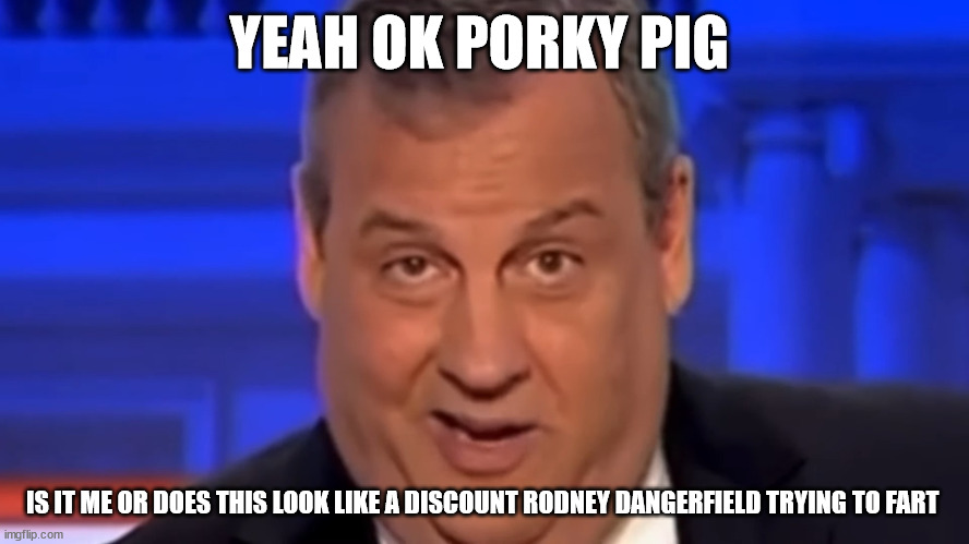 YEAH OK PORKY PIG; IS IT ME OR DOES THIS LOOK LIKE A DISCOUNT RODNEY DANGERFIELD TRYING TO FART | made w/ Imgflip meme maker