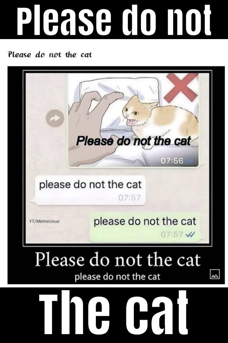 please do not the cat Blank Meme Template