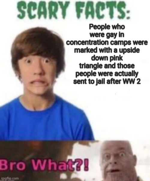 Ye | People who were gay in concentration camps were marked with a upside down pink triangle and those people were actually sent to jail after WW 2 | image tagged in scary facts | made w/ Imgflip meme maker