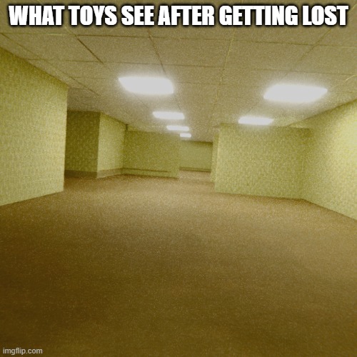 I feel bad for the toys we lost | WHAT TOYS SEE AFTER GETTING LOST | image tagged in backrooms | made w/ Imgflip meme maker