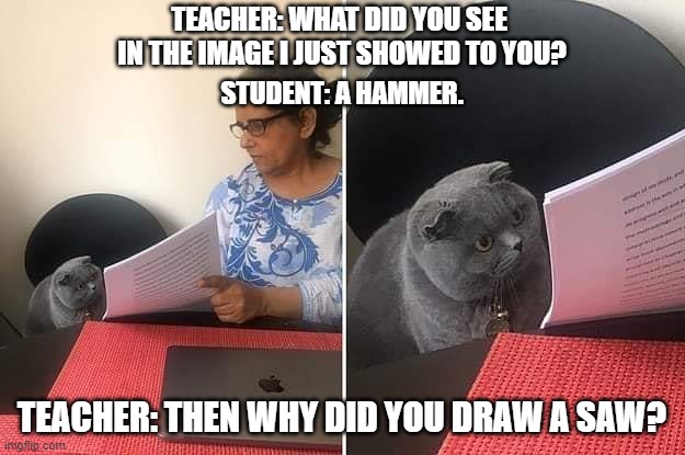 Two sides | TEACHER: WHAT DID YOU SEE 
IN THE IMAGE I JUST SHOWED TO YOU? STUDENT: A HAMMER. TEACHER: THEN WHY DID YOU DRAW A SAW? | image tagged in woman showing paper to cat | made w/ Imgflip meme maker