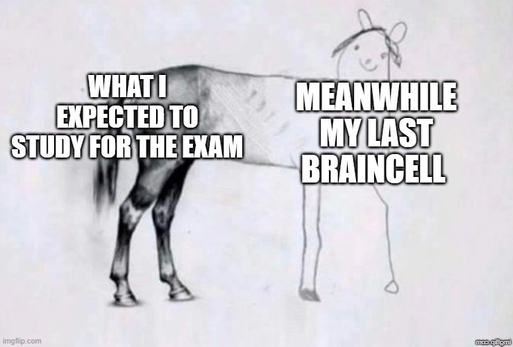 Horse Drawing | WHAT I EXPECTED TO STUDY FOR THE EXAM; MEANWHILE MY LAST BRAINCELL | image tagged in horse drawing,relatable,school,exam | made w/ Imgflip meme maker