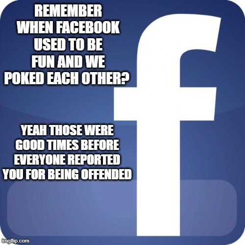 Someone poked the bear too hard | REMEMBER WHEN FACEBOOK USED TO BE FUN AND WE POKED EACH OTHER? YEAH THOSE WERE GOOD TIMES BEFORE EVERYONE REPORTED YOU FOR BEING OFFENDED | image tagged in facebook,funny memes | made w/ Imgflip meme maker