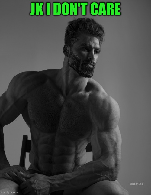Giga Chad | JK I DON'T CARE | image tagged in giga chad | made w/ Imgflip meme maker