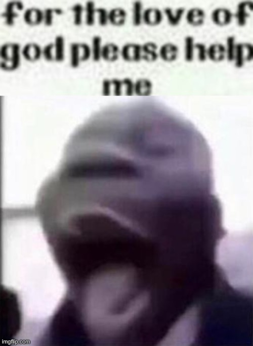 image tagged in for the love of god please help me,for the love of god another guy screaming | made w/ Imgflip meme maker