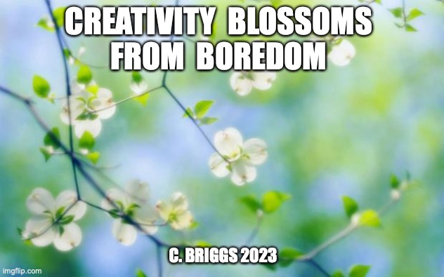 Creativity blossoms from boredom | CREATIVITY  BLOSSOMS 
FROM  BOREDOM; C. BRIGGS 2023 | image tagged in flowers | made w/ Imgflip meme maker
