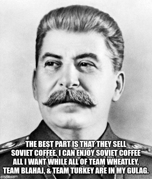 Hypocrite Stalin | THE BEST PART IS THAT THEY SELL SOVIET COFFEE. I CAN ENJOY SOVIET COFFEE ALL I WANT WHILE ALL OF TEAM WHEATLEY, TEAM BLAHAJ, & TEAM TURKEY A | image tagged in hypocrite stalin | made w/ Imgflip meme maker