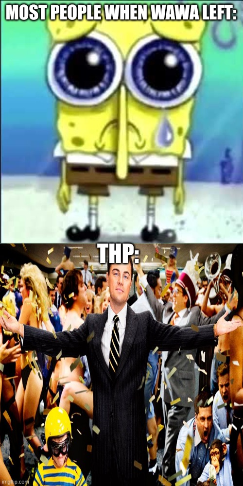 (I wasnt sad) | MOST PEOPLE WHEN WAWA LEFT:; THP: | image tagged in sad spongebob | made w/ Imgflip meme maker