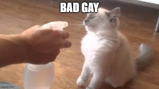 Spray bottle | BAD GAY | image tagged in spray bottle | made w/ Imgflip meme maker