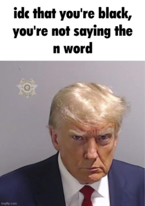 you're not saying the n word | image tagged in you're not saying the n word | made w/ Imgflip meme maker