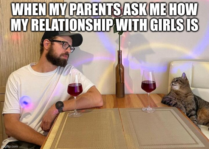 Stepan cat | WHEN MY PARENTS ASK ME HOW MY RELATIONSHIP WITH GIRLS IS | image tagged in stepan cat | made w/ Imgflip meme maker