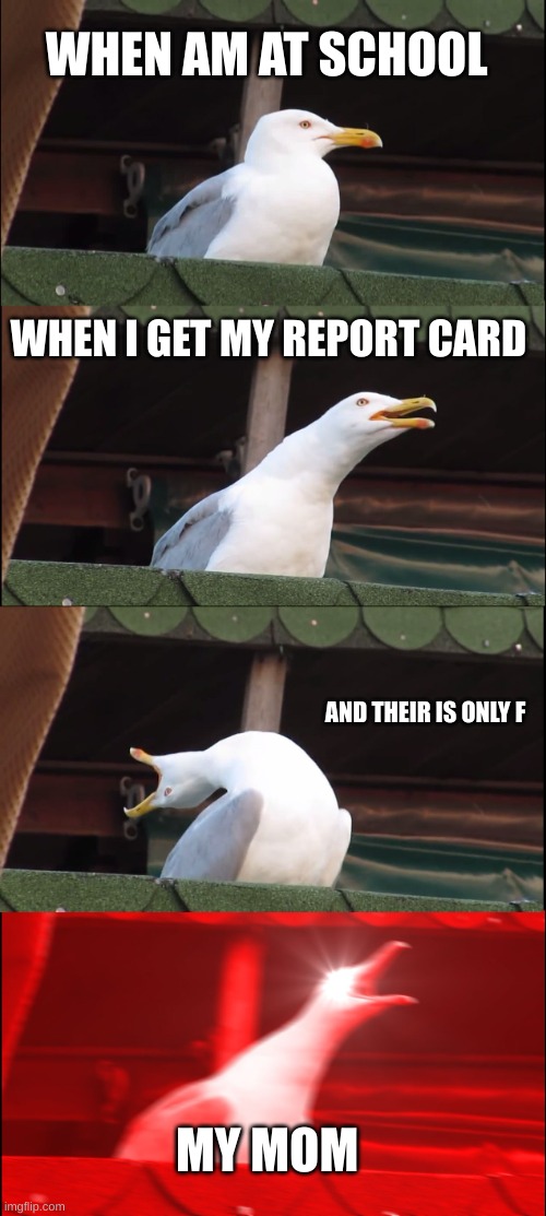 when mom checks you report card | WHEN AM AT SCHOOL; WHEN I GET MY REPORT CARD; AND THEIR IS ONLY F; MY MOM | image tagged in memes,inhaling seagull | made w/ Imgflip meme maker