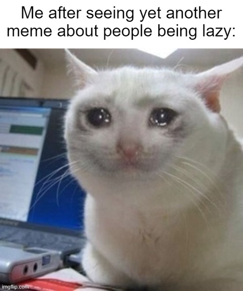 It's like I'm being personally attacked. | Me after seeing yet another meme about people being lazy: | image tagged in crying cat,relatable memes,sad but true,pain,help wanted,oh wow are you actually reading these tags | made w/ Imgflip meme maker