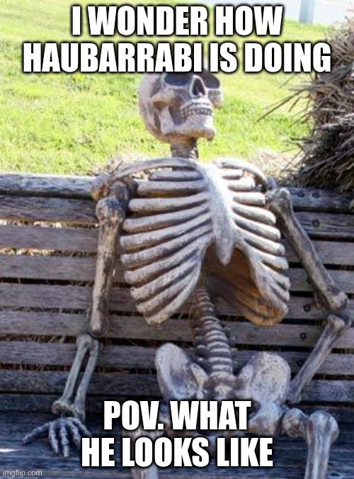 Waiting Skeleton | I WONDER HOW HAUBARRABI IS DOING; POV. WHAT HE LOOKS LIKE | image tagged in memes,waiting skeleton | made w/ Imgflip meme maker