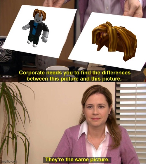 They are the same picture | image tagged in they are the same picture | made w/ Imgflip meme maker