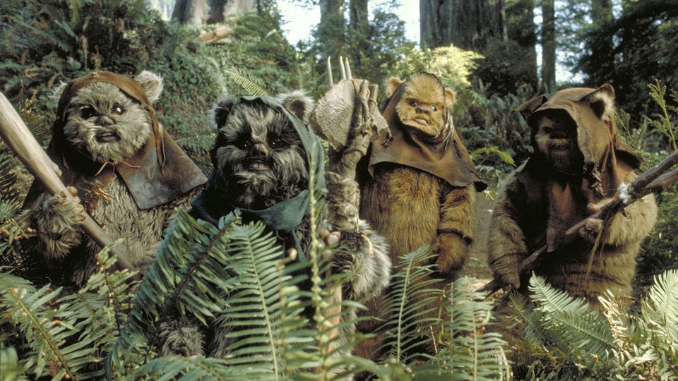 High Quality Forêt Ewok Star Wars Blank Meme Template