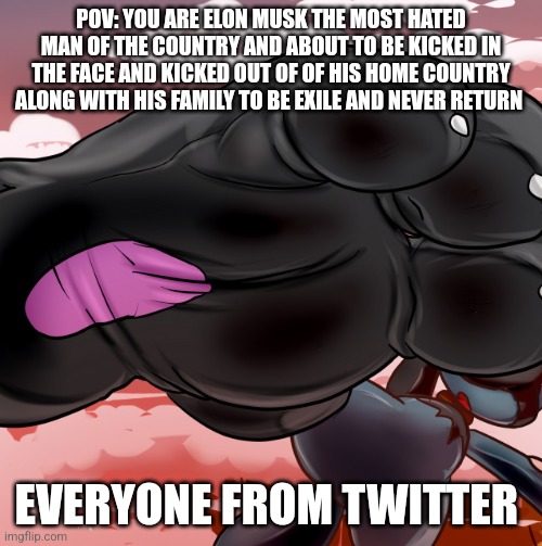 Riolu use mega kick | POV: YOU ARE ELON MUSK THE MOST HATED MAN OF THE COUNTRY AND ABOUT TO BE KICKED IN THE FACE AND KICKED OUT OF OF HIS HOME COUNTRY ALONG WITH HIS FAMILY TO BE EXILE AND NEVER RETURN; EVERYONE FROM TWITTER | image tagged in riolu use mega kick | made w/ Imgflip meme maker