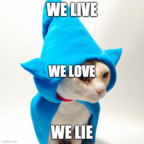 WE LIVE; WE LOVE; WE LIE | image tagged in memes | made w/ Imgflip meme maker