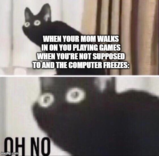 wait nononoNONONONO | WHEN YOUR MOM WALKS IN ON YOU PLAYING GAMES WHEN YOU'RE NOT SUPPOSED TO AND THE COMPUTER FREEZES: | image tagged in oh no cat,funny,memes,games | made w/ Imgflip meme maker