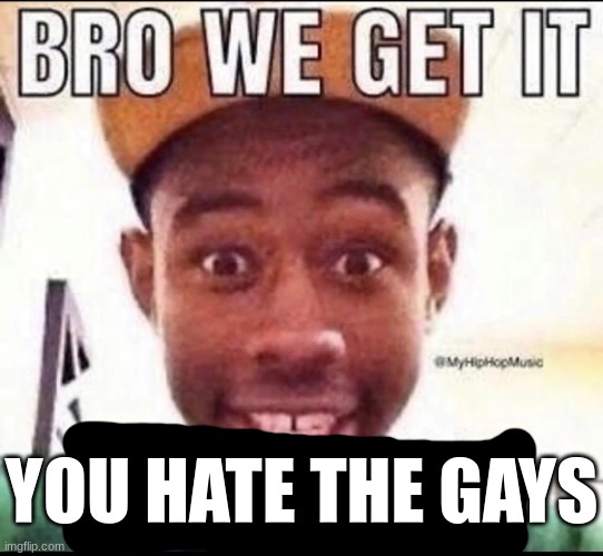 BRO WE GET IT YOU'RE GAY | YOU HATE THE GAYS | image tagged in bro we get it you're gay | made w/ Imgflip meme maker