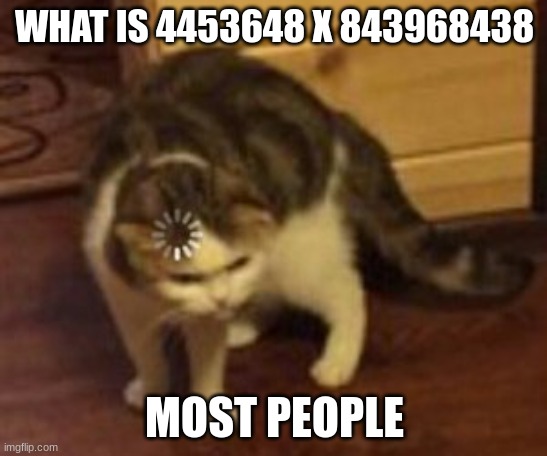 Loading cat | WHAT IS 4453648 X 843968438; MOST PEOPLE | image tagged in loading cat | made w/ Imgflip meme maker