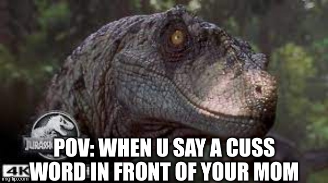 raptor | POV: WHEN U SAY A CUSS WORD IN FRONT OF YOUR MOM | image tagged in raptor | made w/ Imgflip meme maker