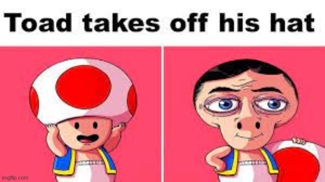 TOAD | image tagged in funny | made w/ Imgflip meme maker