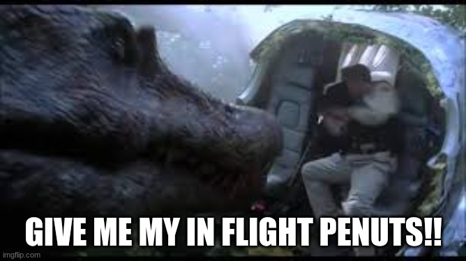dino | GIVE ME MY IN FLIGHT PENUTS!! | image tagged in dino | made w/ Imgflip meme maker
