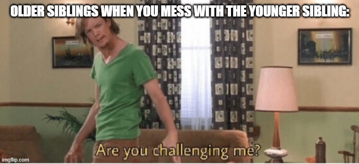 are you challenging me | OLDER SIBLINGS WHEN YOU MESS WITH THE YOUNGER SIBLING: | image tagged in are you challenging me | made w/ Imgflip meme maker